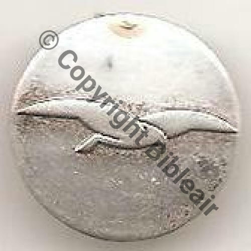 PERSONNEL FEMININ SGT Argente DrPN Past DrPN Dos lisse irreg 22mm  Src.salamandre1957 4Eur03.13 