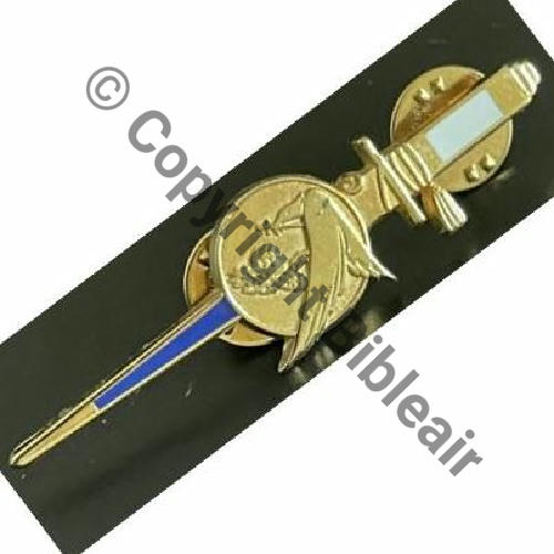 POIGNARD EA  DrNMV Dos lisse irreg 2Attac PINS Src.steph17monnaie 8Eur03.23 