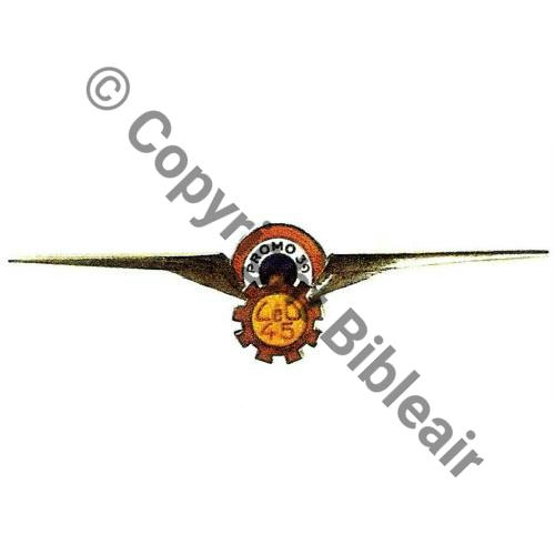 PROMO 39 LEO.45 4e Cie 12e Brigade CENTRE ECOLE AIR ROCHEFORT.MER AUGIS Commande Aou39 Archives AUGIS S&T 173
