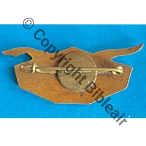 PROMO RADIO ROCHEFORT ECLAIRS BLEUS FOND DORE annee inconnue  SM (AUBERT) Bol Dos lisse Src.mesnil01 27Eur(x2) 
