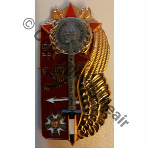 NH  ECOLE MILITAIRE AIR PROMO EMA.2010 CNE SAUVAGE Grave au dos EMA.2010  AB.P Griffes et butees Dos scintillant Src.tantrum2007 85Eur02.22 