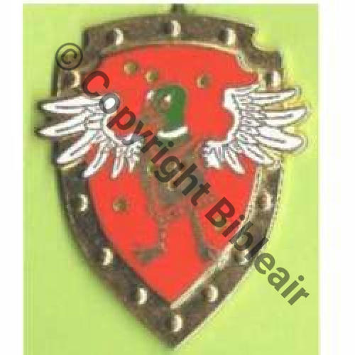 NH CANARD  Ins ASPI & SLT BA.110 CREIL 1993  FRAISSE Src.D.LEZIN IDENTIF Y.POQUE 