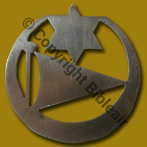 052  1917 F.52  Argent Fab perso non termine Sans attache Src.D.TOCK via A.DENIS 