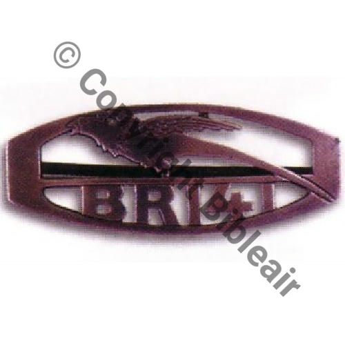 141  1917 BR.141 ARGENT decoupe Eping bascule trouve avec BREVET No1472 Sc.BARTLETT 