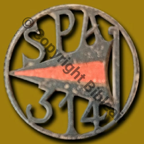 314  1918 SPA.314 INS PERSO Sgt G.RENAUD ARGENT ds piece monnaie  SM 2Anneaux Src.S.TOUSSAINT via A.DENIS 