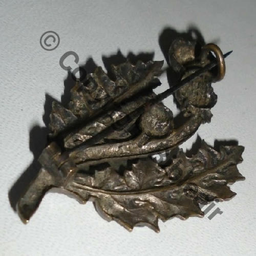 314 1918 SPA.314 et CAP.115 INS COLLECTIF plateau Malzeville 2eModele  SM Laiton embouti Eping bascule 55x30mm Src.dienbienphu01 399EurInv 