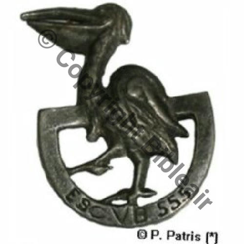 555  1917.20 2eDRILLE VB.555 RA du Maroc   Src.P.PATRIS H.GUYOT 