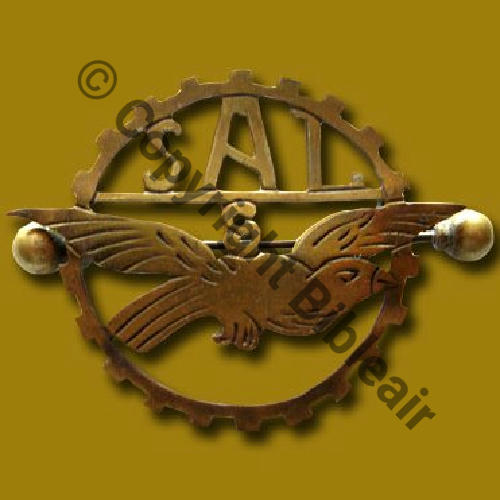 008  1918.19 A1491NH SAL8 Src.JR.BOTTELIN via Albin DENIS 