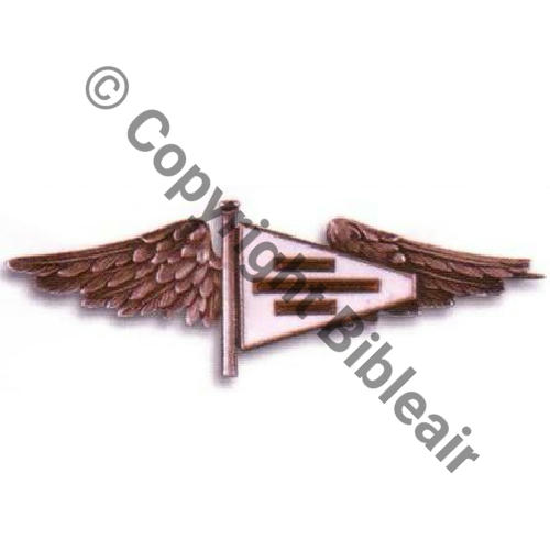 218  1917 A1479NH BR.218 ARGENT emaille Eping bascule Grave au dos Lieutenant STEEG escadrille 218 Src.BARTLETT