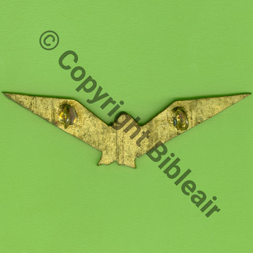 185e CIE AEROSTIERS Plumes multicolores SM (MOURGEON) Peint 2 Anneaux Dos lisse Src.Y.GENTY 60Eur(x4) 