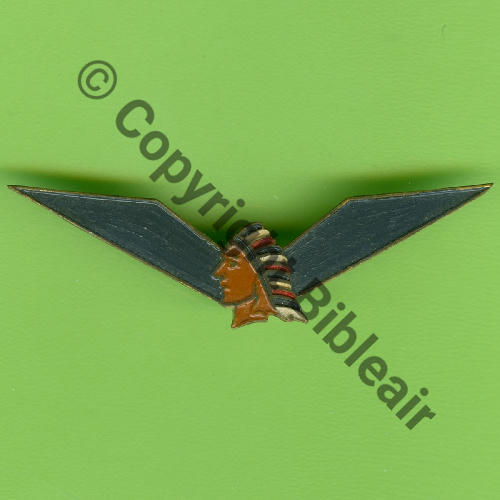 185e CIE AEROSTIERS Plumes multicolores SM (MOURGEON) Peint 2 Anneaux Dos lisse Src.Y.GENTY 60Eur(x4) 