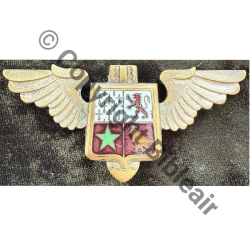 31e ESCADRE DE BOMBARDEMENT  1944-46 Bronze oiseau orange  Dr.Dep Bol Dos lisse irreg Ecu matrice Src.walkyrie.1945 300EurInv 