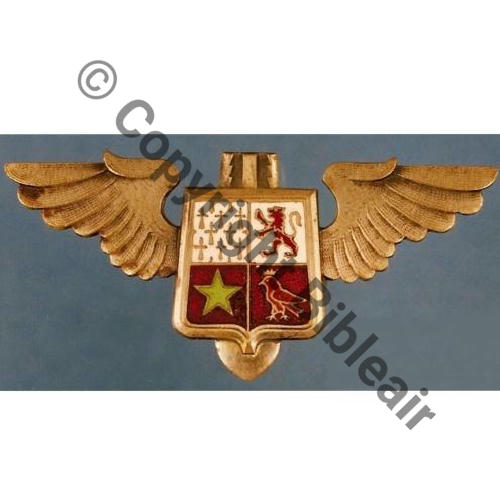 31e ESCADRE DE BOMBARDEMENT  1944-46 Bronze oiseau rouge Src.P.SALLES