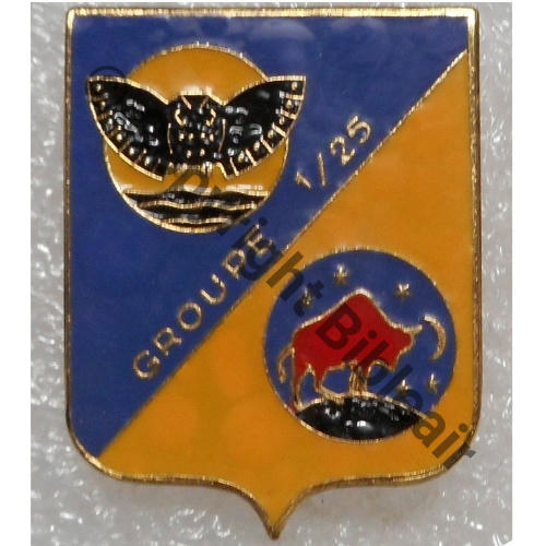 25.1 1975+ GROUPE 1.25  FIA.Ed.LYON REFRAPPE AMICALE GROUPES LOURDS Bol fenetre allonge Dos lisse irreg scintillant Src.chewi.fr 132Eur(x2) 