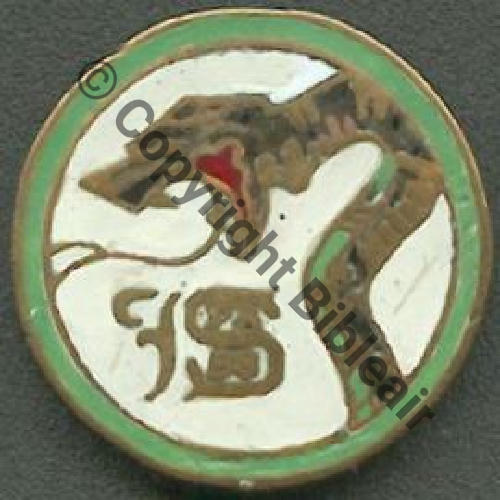 088  1949.66 1eDRILLE GC.1.6 SPA.88  SM Bol allonge Dos lisse irreg Sc.JJ.LECLERCQ  401Eur06.07