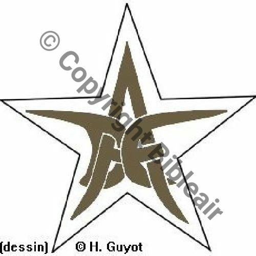 NH  DIVISION ENTRAINEMENT AERIEN VILLA 1921 ORLY 1924  DESSIN H.GUYOT INS CARLINGUE 