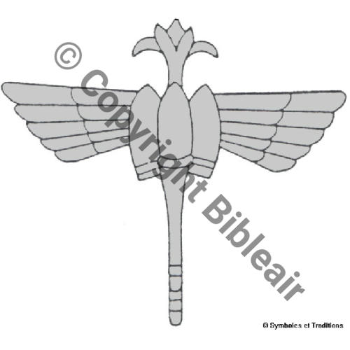 NH  ECOLE TIR AERIEN GR AUTONOME CAZAUX 2e DRILLE BOMB GRONDIN Src.S&T 