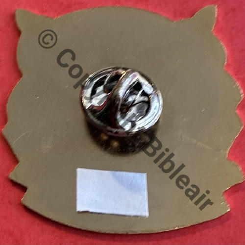124  COMMEMO SPA.124 1991 LAFAYETTE 75e ANNIV 35mm SM Dos lisse 1Attach PINS Src.guilloune .DOS) 