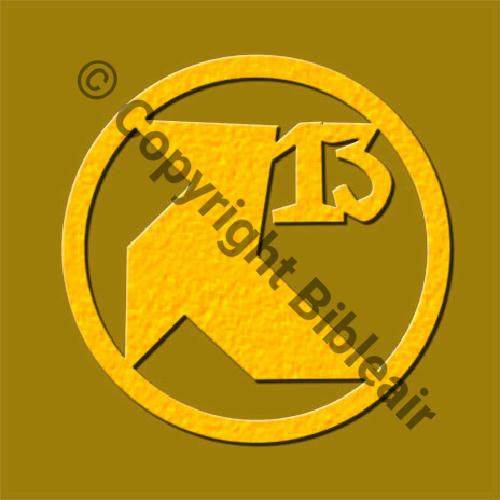 33.3.13 ou 4.13 1920.30 BR.11 A0673NH 13eDRILLE 3.33eRAO 20.24 ou 4.33eRAM 24.30 MAYENCE IMG reconstituee par D.ALBIN