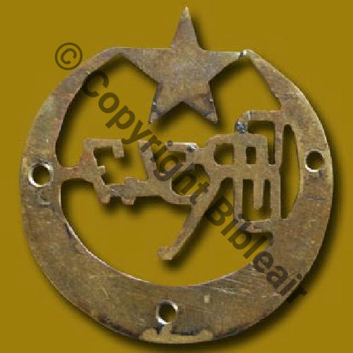 36.1.2  1918.20 BR.547 2eDRILLE 1er Gpe RA ALGERIE TUNISIE  SM Dos lisse Src.A.CAMPO via A.DENIS 