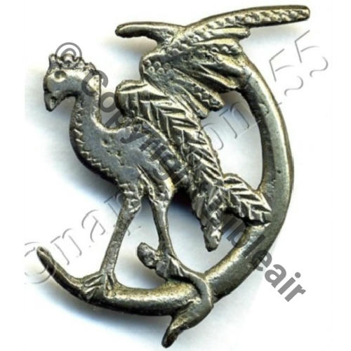 37.4.12 VR.547 12eDRILLE RAO.4.37...  SM Attach KC Dos lisse irreg Sc.STELLA 122Eur05.07 