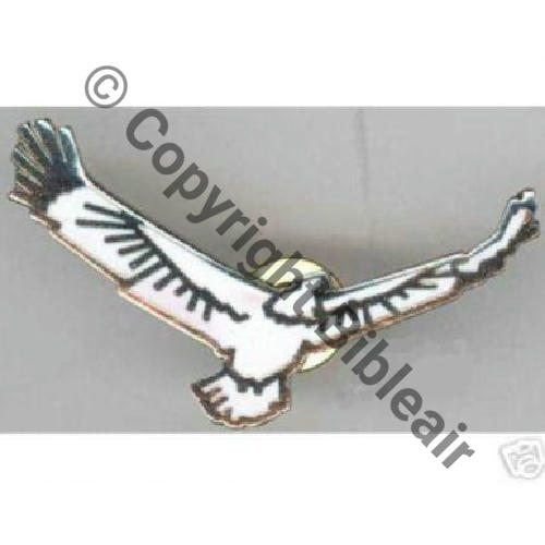 NH SAVV ROCHEFORT  JYS Sc.SEGALEN 11Eur06.08