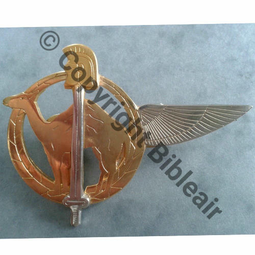 NH  TCHAD 2004 25eRGA 4eCie Src.princesspeachcindy 27Eur(x2) 