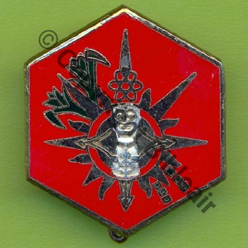 NH EAM.41.366 POINTE A PITRE Totem Argent   DrP Griffes et butees Dos lisse 9Eur02.06