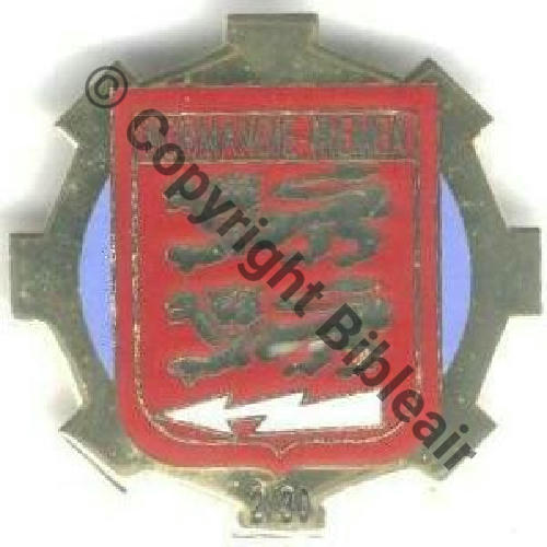 NH SERVICES TECHNIQUES DU 2.30 Email  SM  48mm  BOOMERANG  46Eur EBAY 01.05