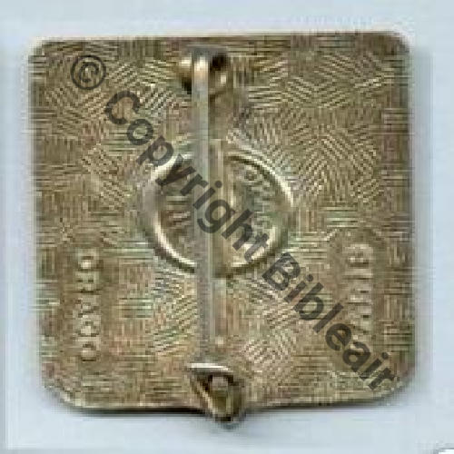 DrP+Past  Guilloche irregulier