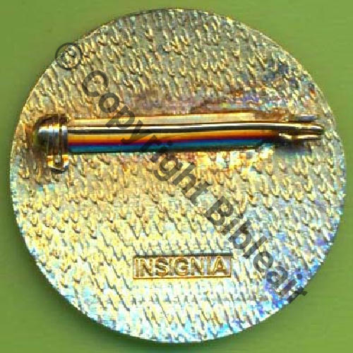 INSIGNIA ECAILLES TRIANGLES SERREES 