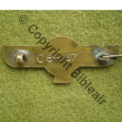 C66.57 Sc.nastiacar