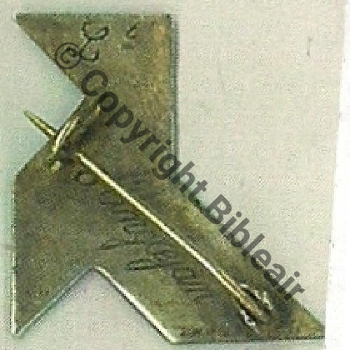 LTT D.ANGLEJAN 1916 C.11  SM Eping bascule Dos lisse grave Email Ronde bosse  Cloisonne OR Sc.dannydunkan MAP780Eur