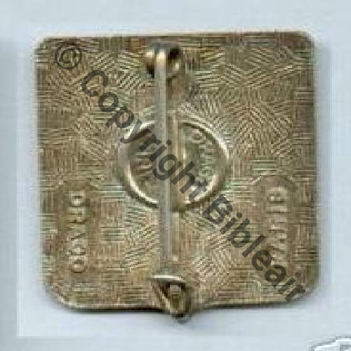 Pastille ovale DrP