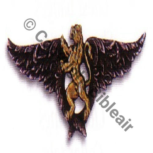 20 SPA Argent cisele et or