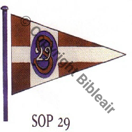 29 FUS SOP29
