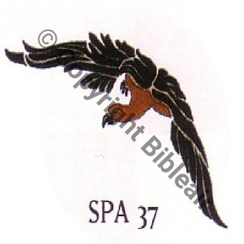 37 FUS SPA37