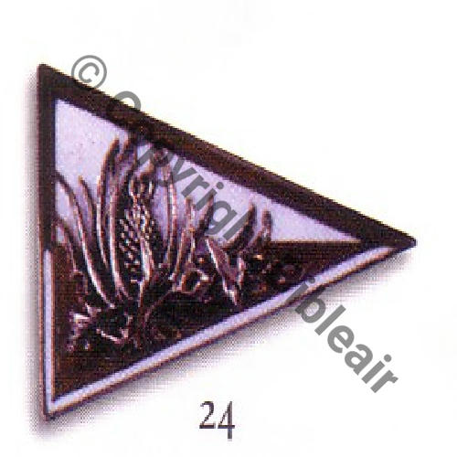38 SPA Argent emaille