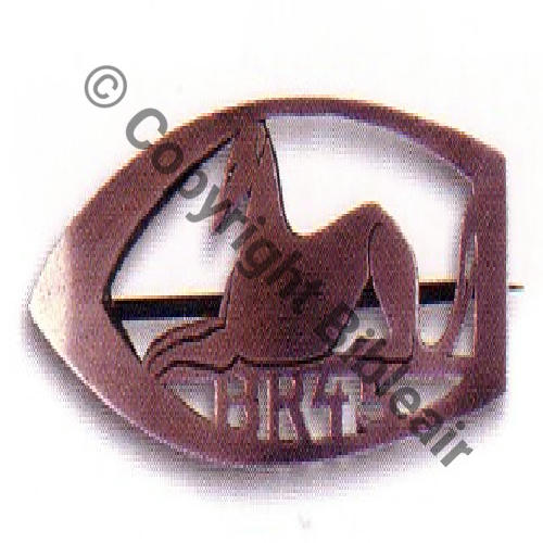 45 BR Argent decoupe