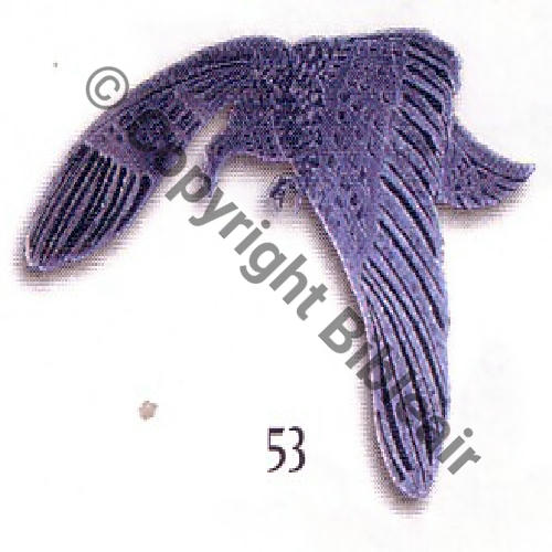 75 SPA Argent ajoure