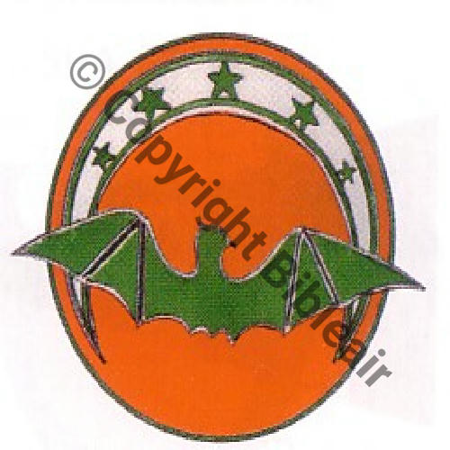 119 FUS F119