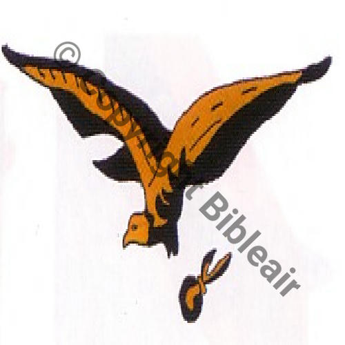 126 FUS BR126