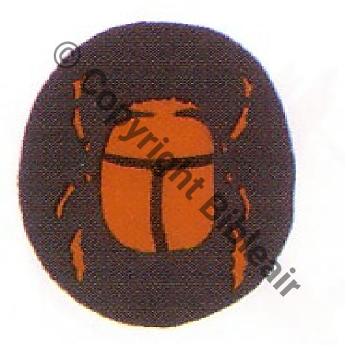 128 FUS BR128