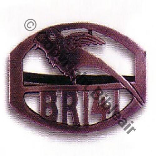 141 BR Argent decoupe