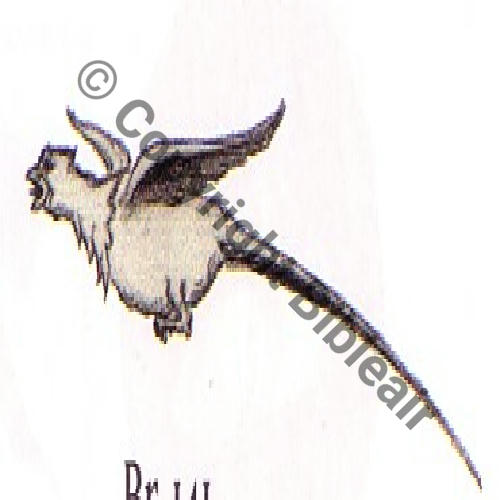141 FUS BR141