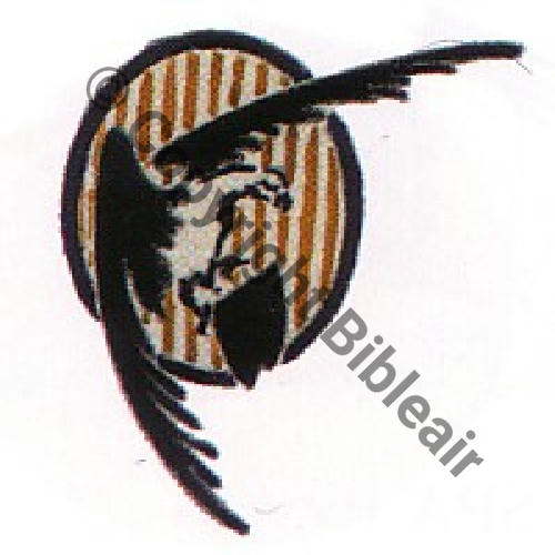 223 FUS BR223