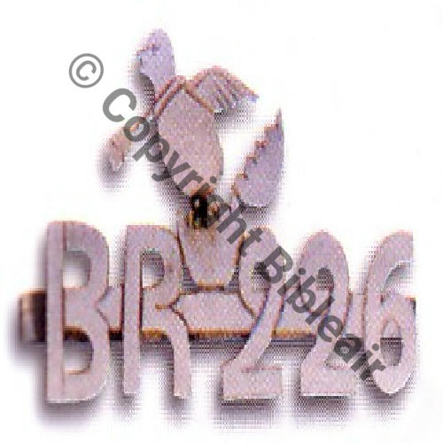 226 BR Argent decoupe