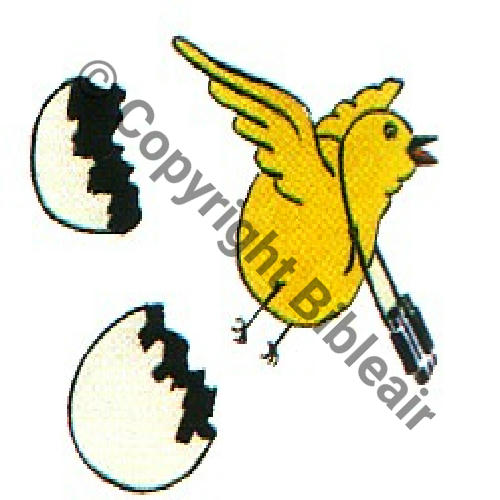 226 FUS BR226