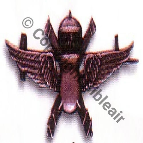 229 BR Argent