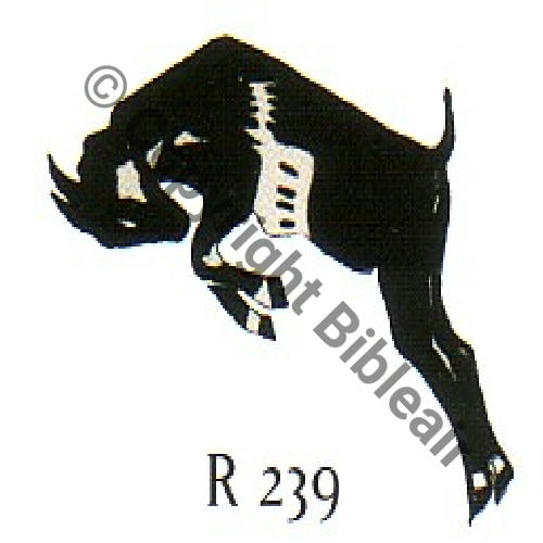 239 FUS R239